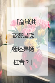 俞敏洪老婆是晓杨还是杨桂青？