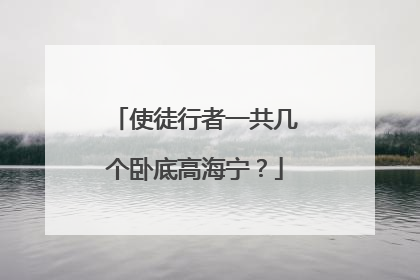 使徒行者一共几个卧底高海宁？