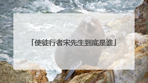 使徒行者宋先生到底是谁