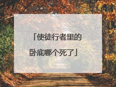 使徒行者里的卧底哪个死了