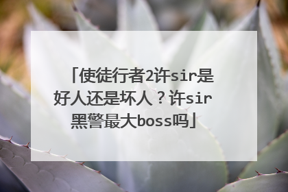 使徒行者2许sir是好人还是坏人？许sir黑警最大boss吗
