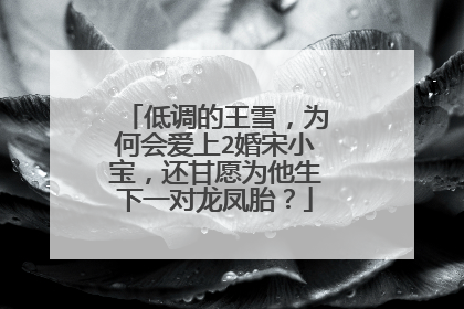 低调的王雪,为何会爱上2婚宋小宝,还甘愿为他生下一对龙凤胎?