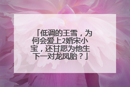 低调的王雪，为何会爱上2婚宋小宝，还甘愿为他生下一对龙凤胎？