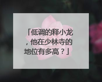 低调的释小龙，他在少林寺的地位有多高？