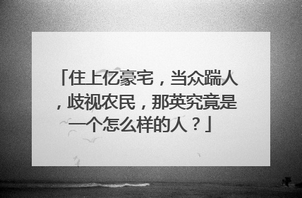 住上亿豪宅，当众踹人，歧视农民，那英究竟是一个怎么样的人？