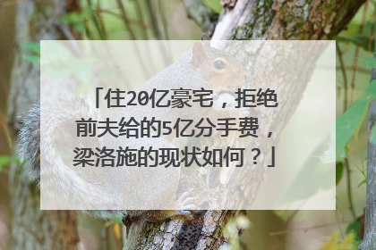 住20亿豪宅,拒绝前夫给的5亿分手费,梁洛施的现状如何?