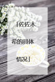 佐佐木希的具体情况