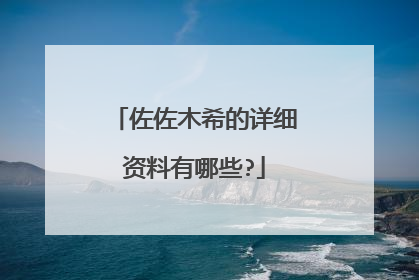 佐佐木希的详细资料有哪些?