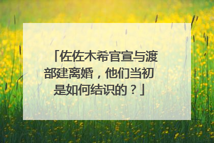 佐佐木希官宣与渡部建离婚，他们当初是如何结识的？