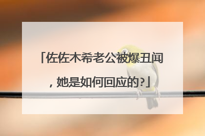 佐佐木希老公被爆丑闻,她是如何回应的?