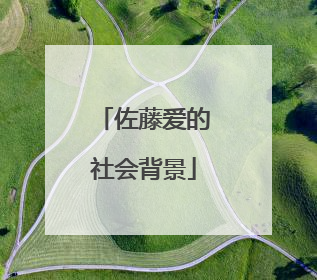 佐藤爱的社会背景