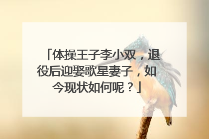 体操王子李小双，退役后迎娶歌星妻子，如今现状如何呢？