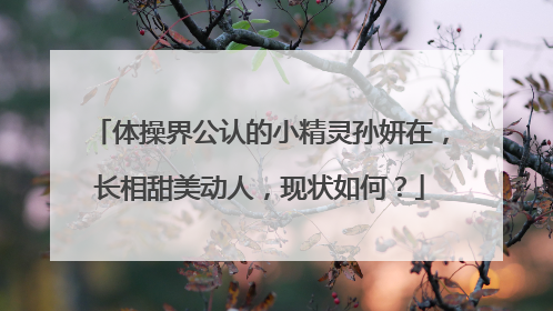 体操界公认的小精灵孙妍在,长相甜美动人,现状如何?