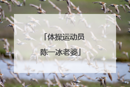 体操运动员陈一冰老婆