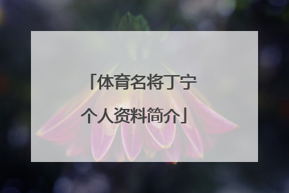 体育名将丁宁个人资料简介