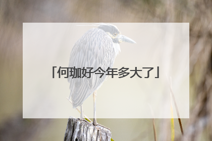 何珈好今年多大了