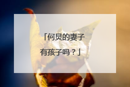 何炅的妻子有孩子吗？