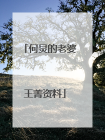 何炅的老婆王菁资料