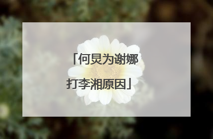 何炅为谢娜打李湘原因