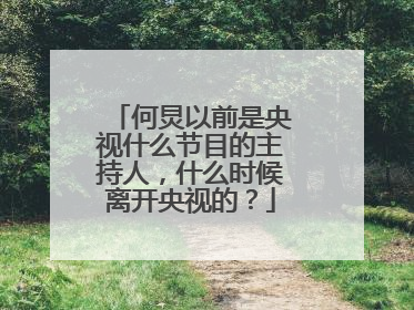 何炅以前是央视什么节目的主持人,什么时候离开央视的?