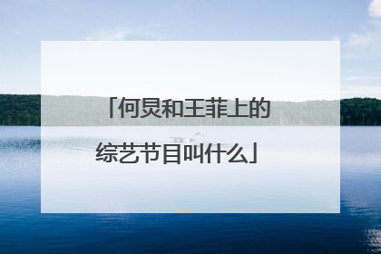 何炅和王菲上的综艺节目叫什么