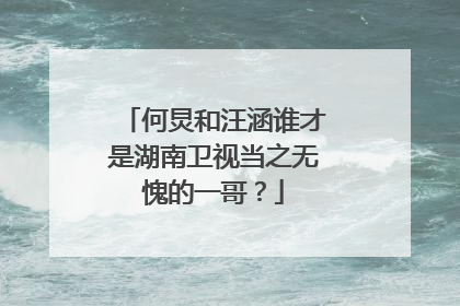 何炅和汪涵谁才是湖南卫视当之无愧的一哥?