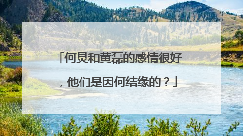 何炅和黄磊的感情很好，他们是因何结缘的？
