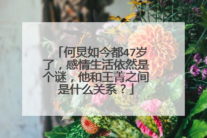 何炅如今都47岁了，感情生活依然是个谜，他和王菁之间是什么关系？