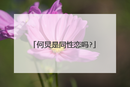 何炅是同性恋吗?