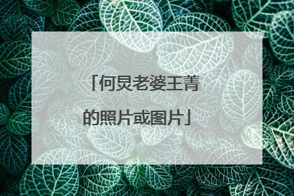 何炅老婆王菁的照片或图片