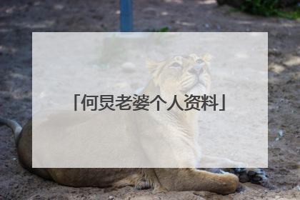 何炅老婆个人资料