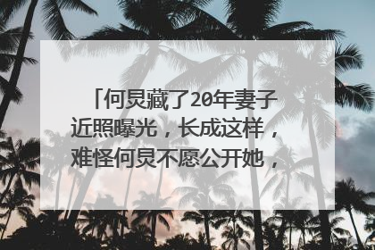 何炅藏了20年妻子近照曝光,长成这样,难怪何炅不愿公开她,到底长啥样?