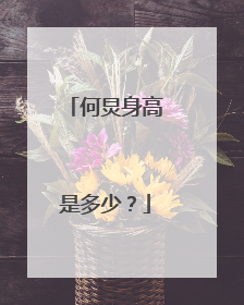 何炅身高是多少？
