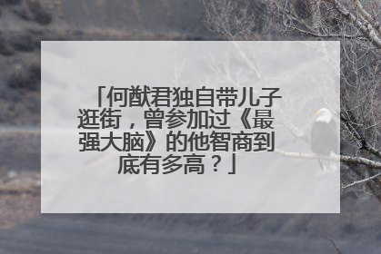 何猷君独自带儿子逛街,曾参加过《最强大脑》的他智商到底有多高?