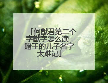 何猷君第二个字猷字怎么读 赌王的儿子名字太难记