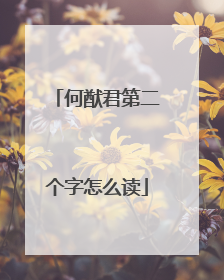 何猷君第二个字怎么读