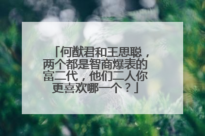 何猷君和王思聪，两个都是智商爆表的富二代，他们二人你更喜欢哪一个？