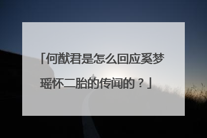 何猷君是怎么回应奚梦瑶怀二胎的传闻的？
