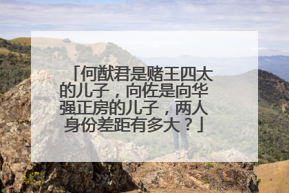 何猷君是赌王四太的儿子，向佐是向华强正房的儿子，两人身份差距有多大？