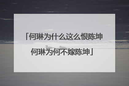 何琳为什么这么恨陈坤 何琳为何不嫁陈坤