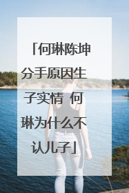 何琳陈坤分手原因生子实情 何琳为什么不认儿子