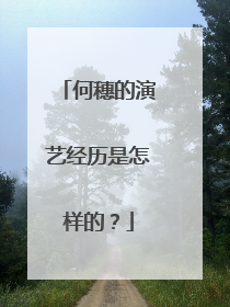 何穗的演艺经历是怎样的?
