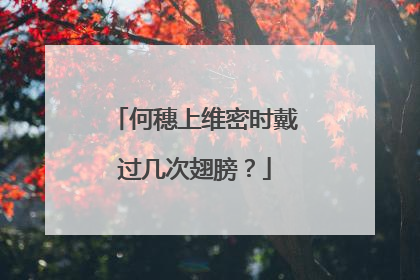何穗上维密时戴过几次翅膀？