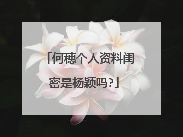 何穗个人资料闺密是杨颖吗?