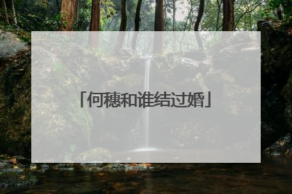 何穗和谁结过婚