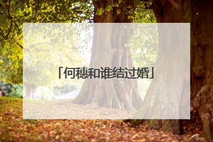 何穗和谁结过婚