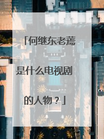 何继东老蔫是什么电视剧的人物？