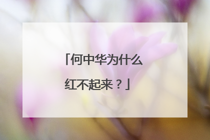 何中华为什么红不起来？