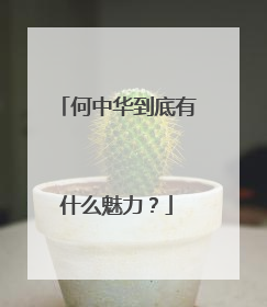 何中华到底有什么魅力？