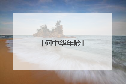 何中华年龄